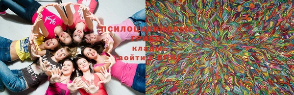 гашиш Лиски