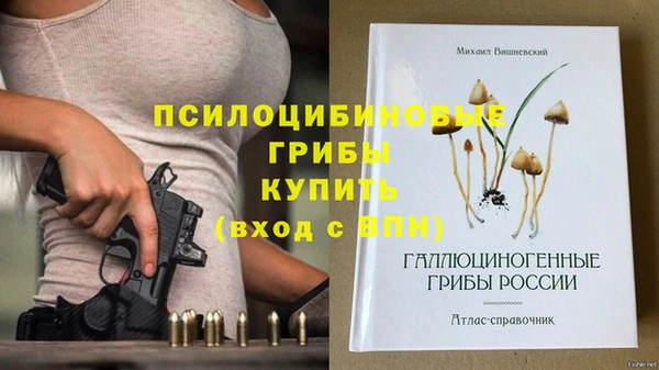твердый Липки