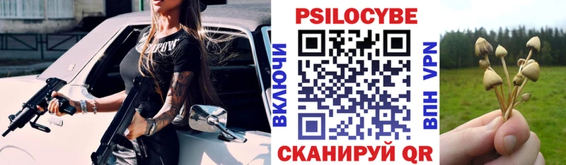Галлюциногенные грибы прущие грибы  Купить закладки  Анадырь 